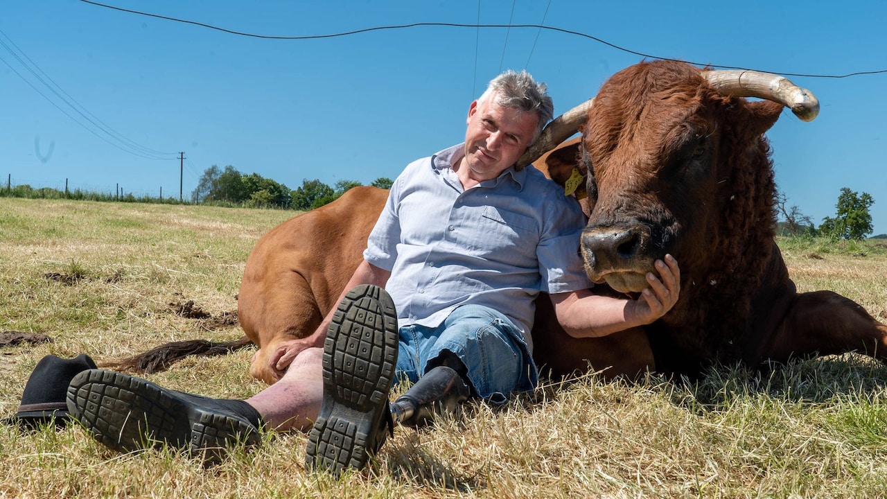SWR Heimat: Landwirt Hans-Willi verliert bei Unfall Bein - Bullen spenden  Kraft